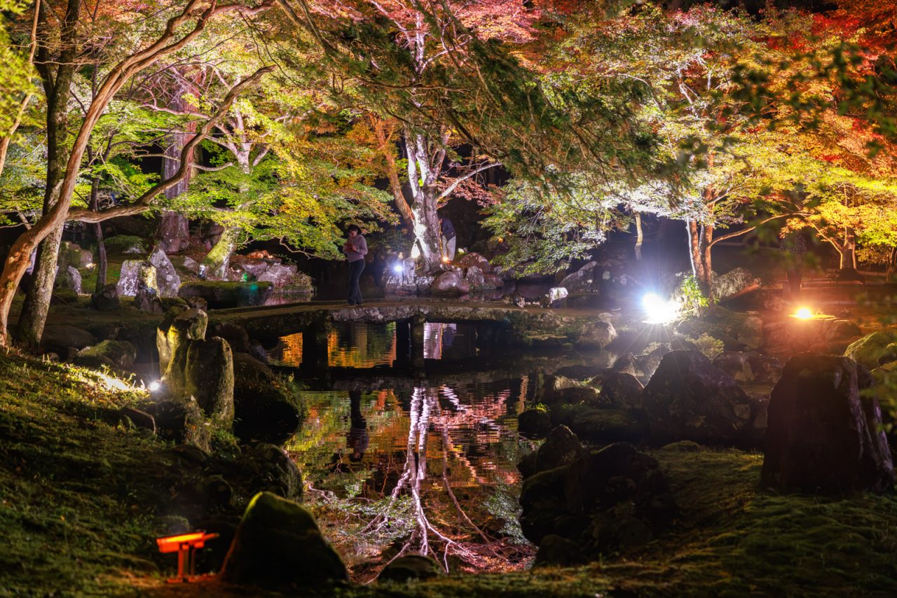【津市】逆さ紅葉が美しい 🍁 北畠神社の庭園ライトアップが11月11〜12日に開催されます