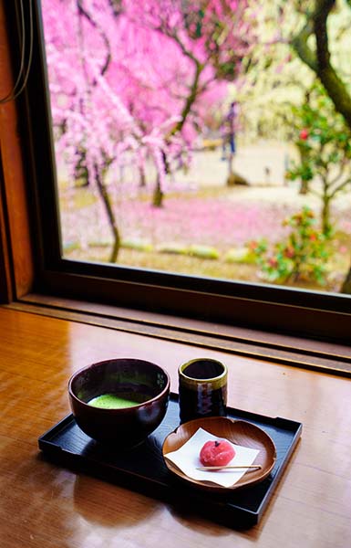 年に行きたい三重県の梅名所４選 三重のええとこ巡り 三重県の旬な観光スポットを巡るフォトブログ